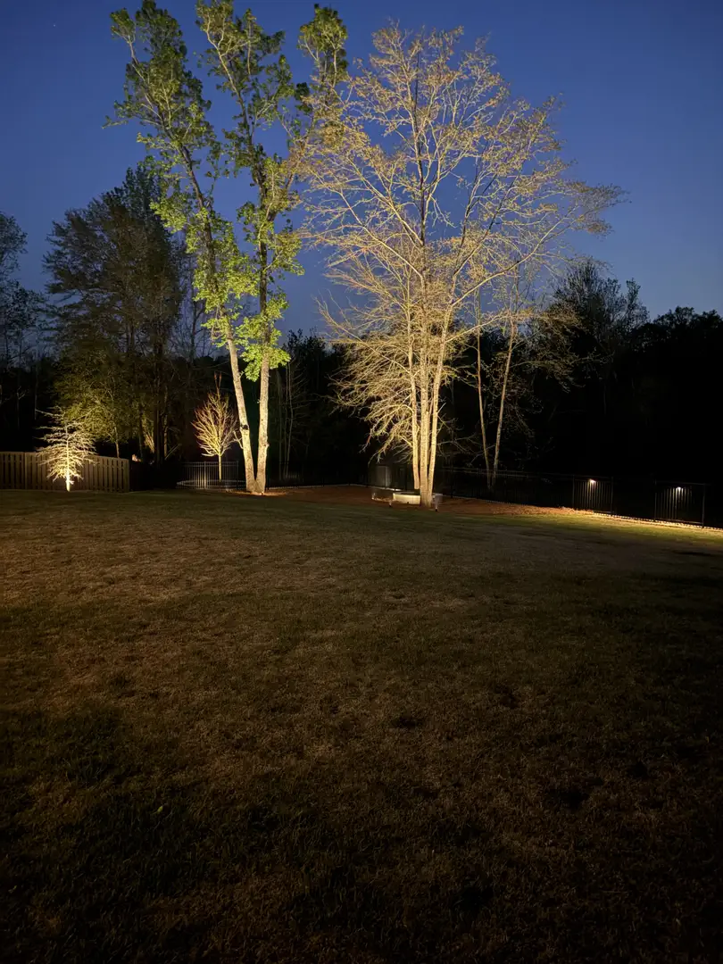 down lighting