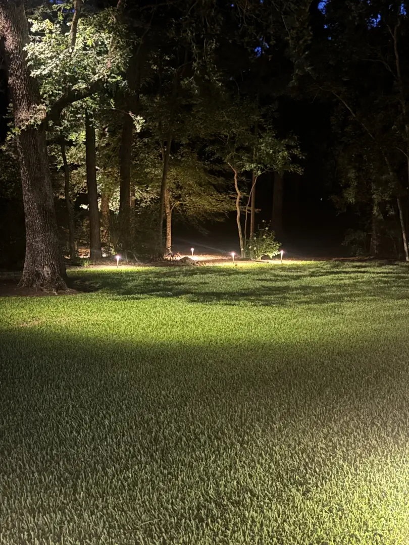 Down Lighting