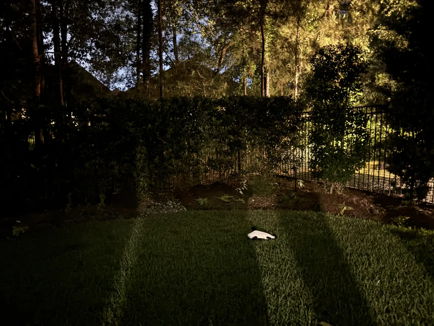 landscape lighting spring tx