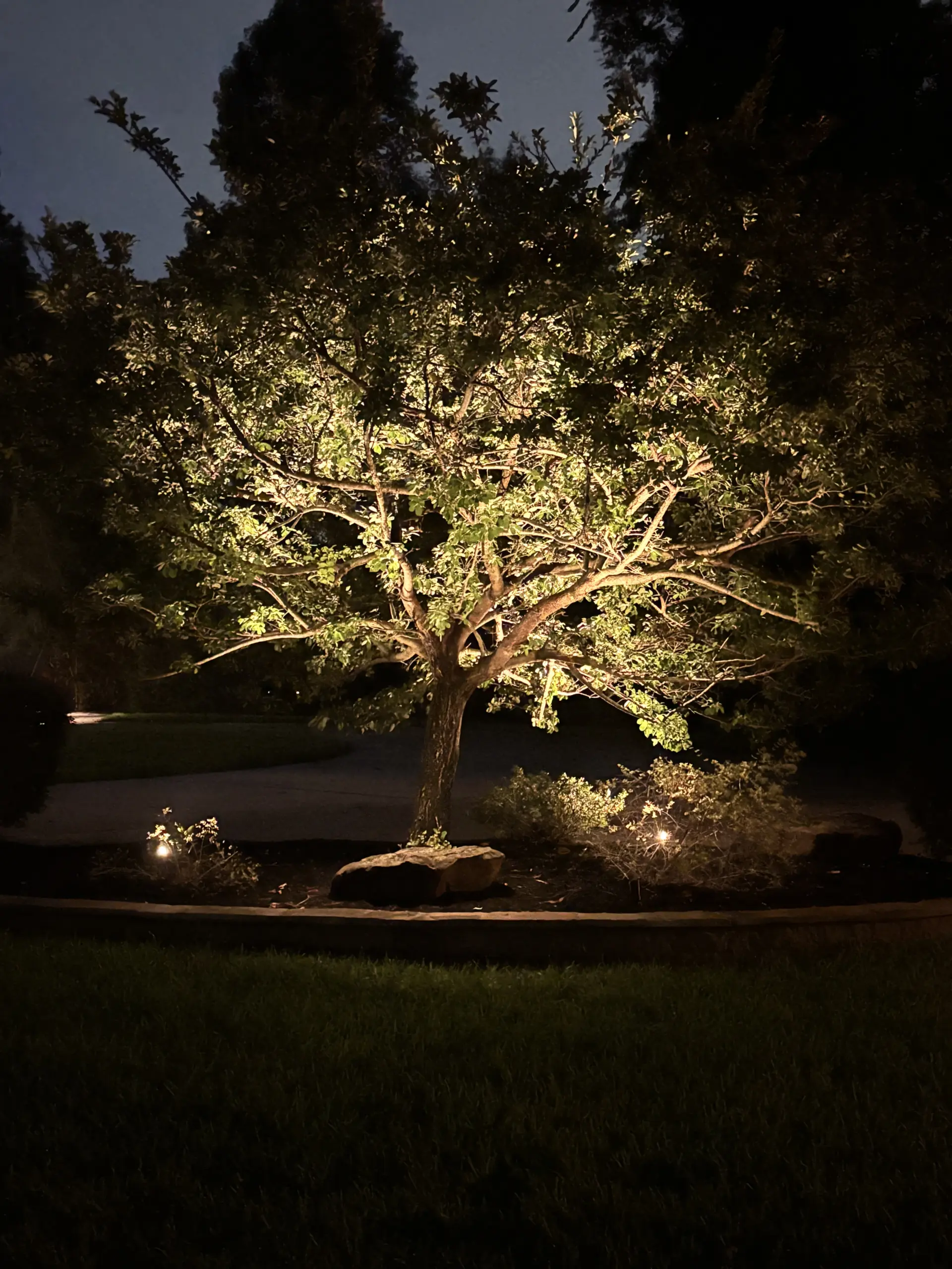 Landscape Lighting in Willow Creek Ranch in Tomball, TX