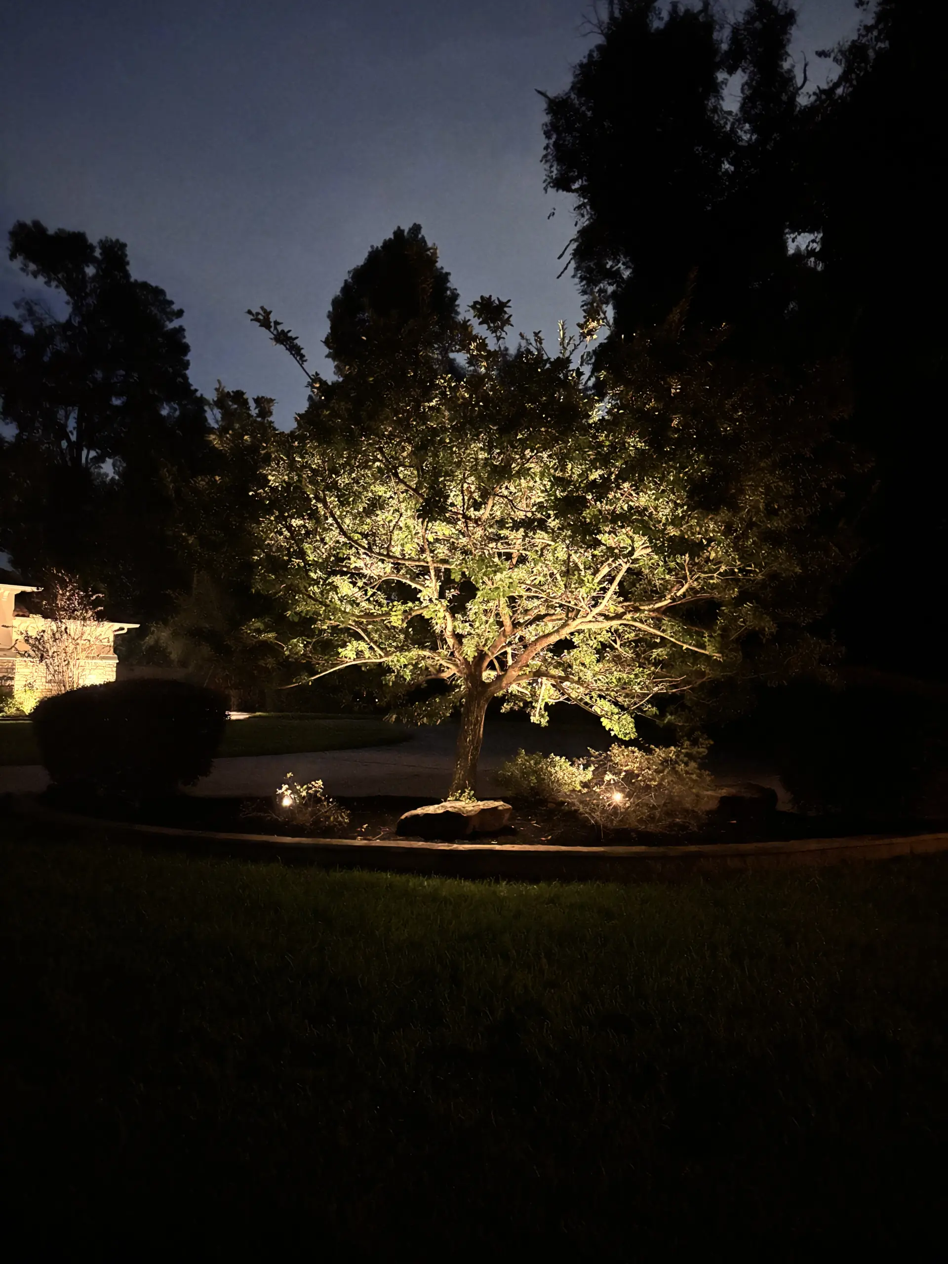 Landscape Lighting in Willow Creek Ranch in Tomball, TX