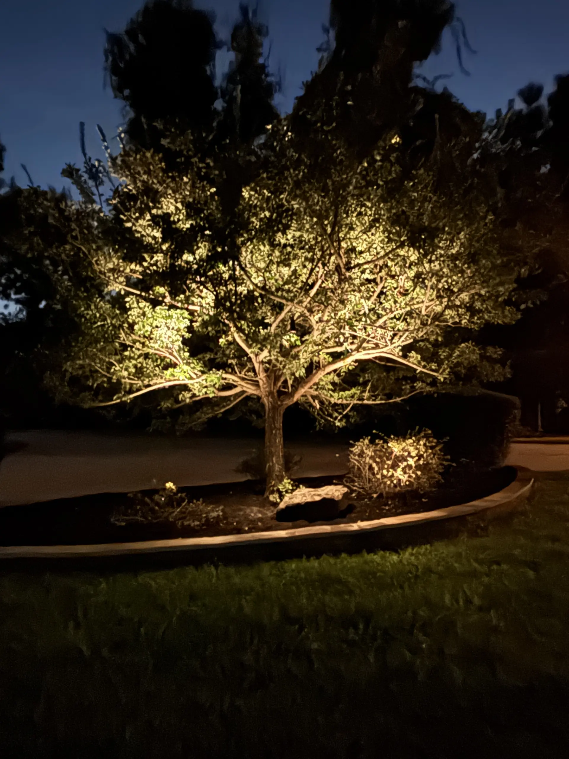 Landscape Lighting in Willow Creek Ranch in Tomball, TX
